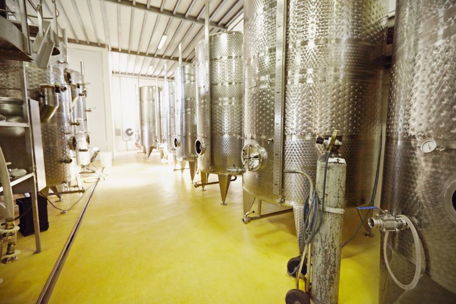 fermentacion del vino