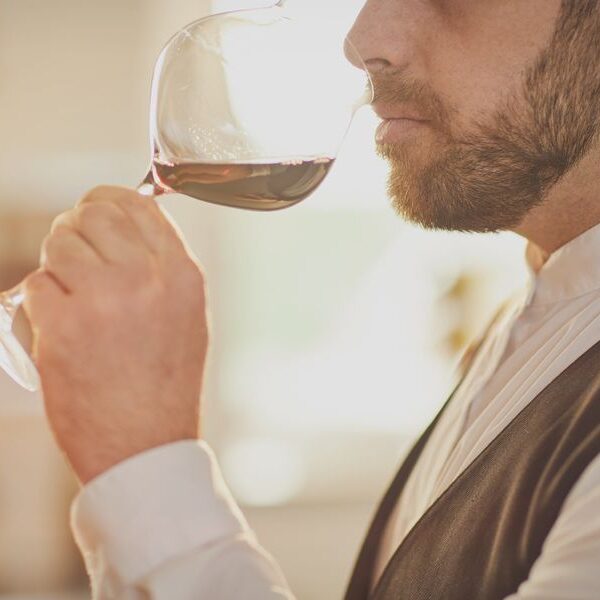 taninos vino