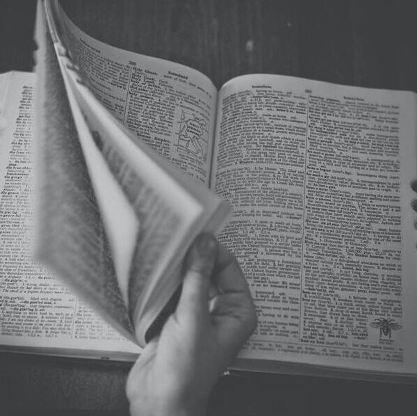 Diccionario de palabras del vino: letra U